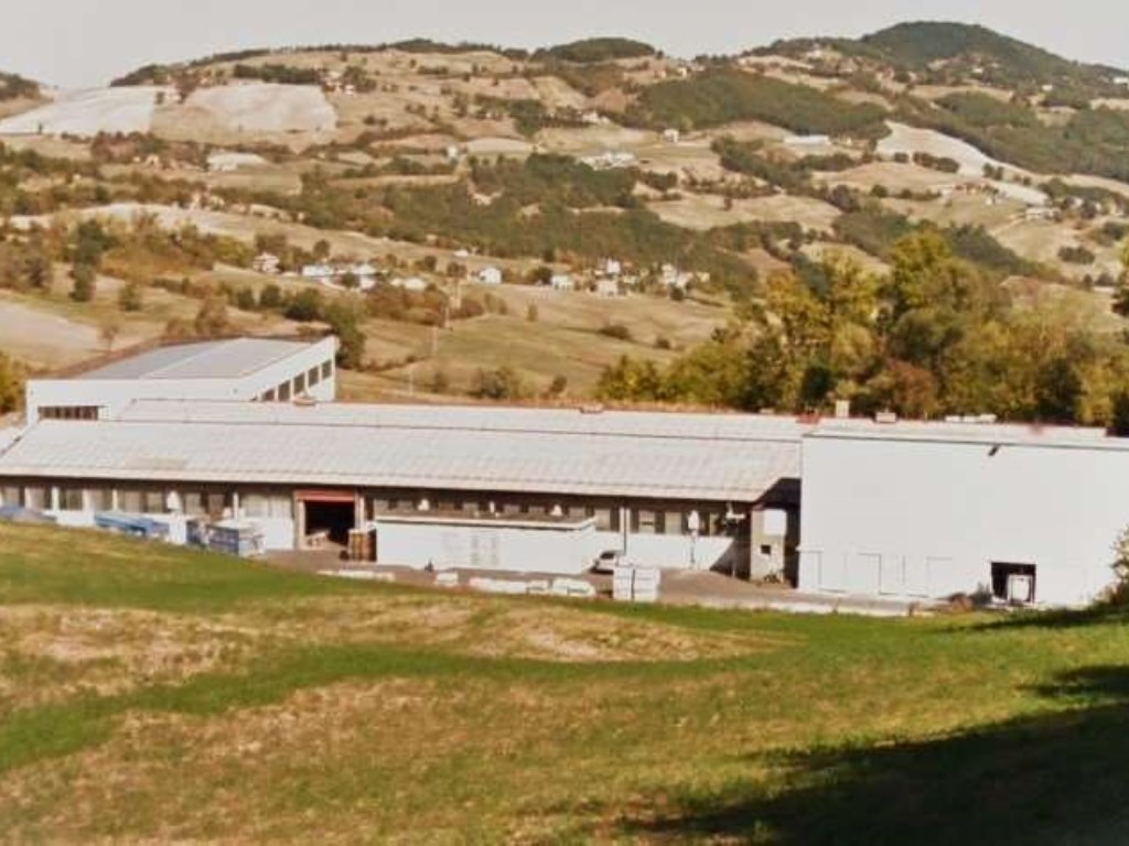 Capannone Industriale in vendita a Toano via Dei Pini 1