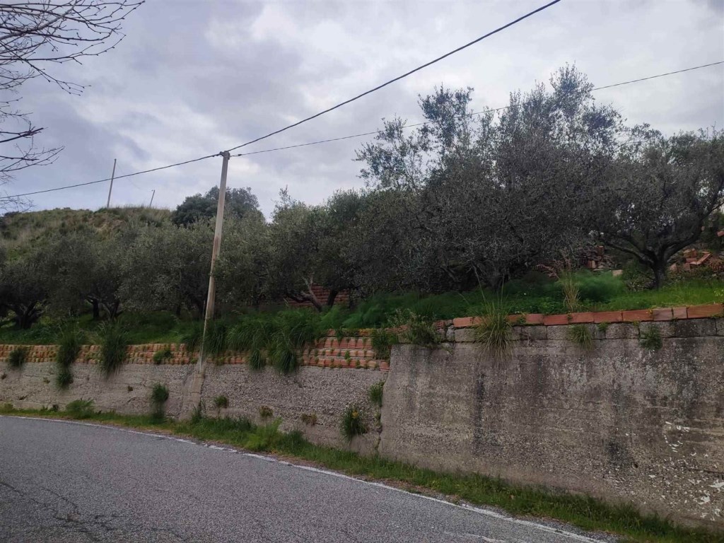 Terreno Agricolo in vendita a Roccavaldina sp 56