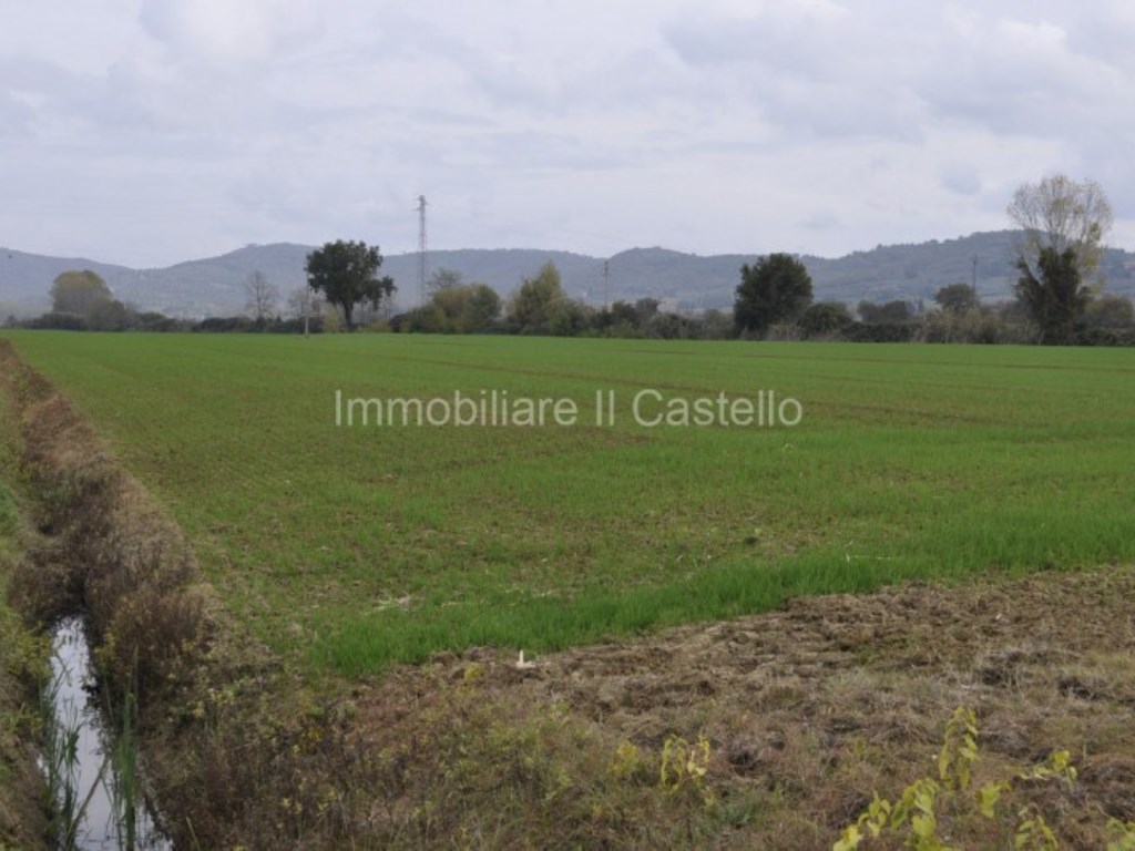 Terreno Agricolo in vendita a Castiglione del Lago