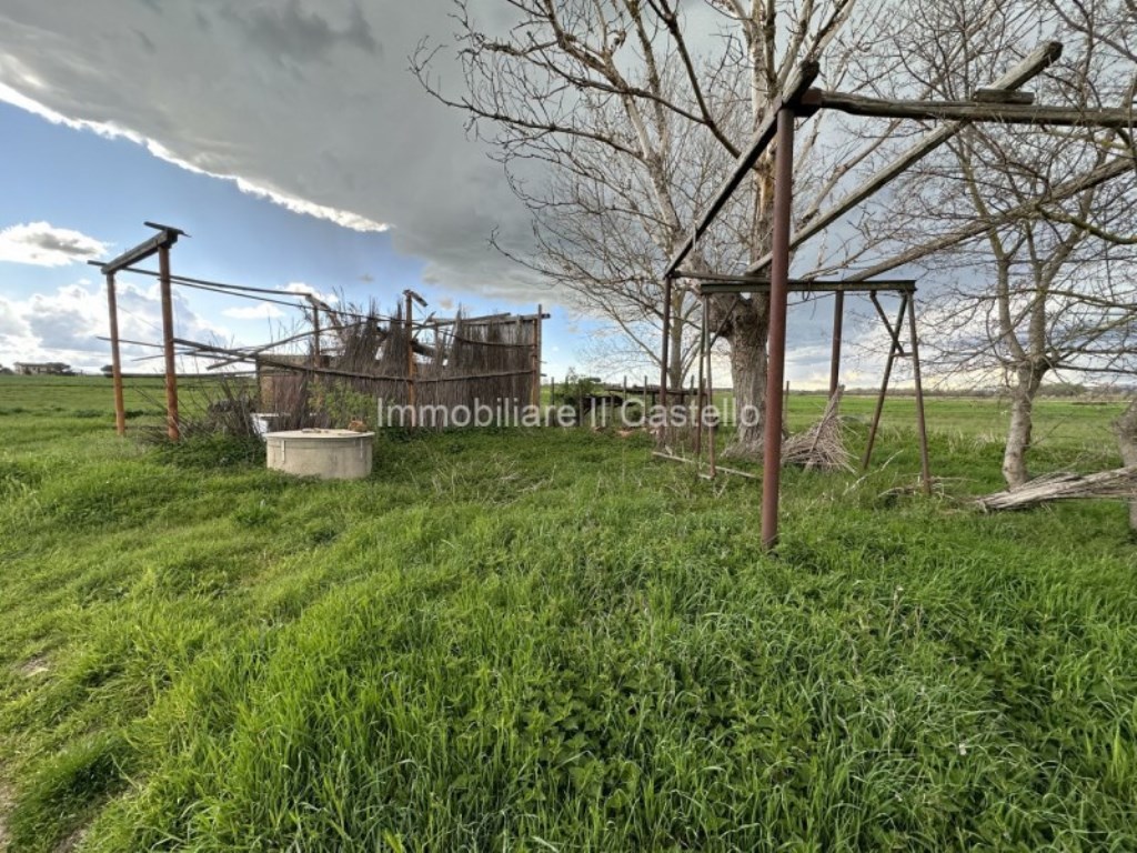 Terreno Residenziale in vendita a Castiglione del Lago