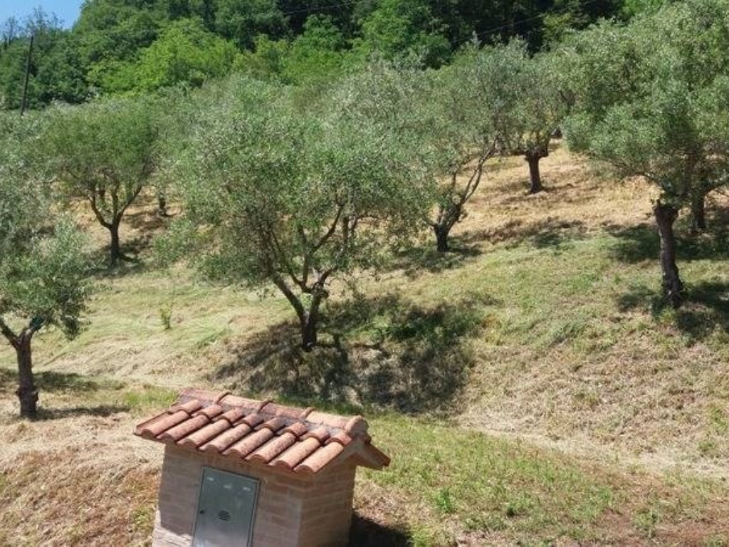 Terreno Agricolo in vendita a San Severino Marche