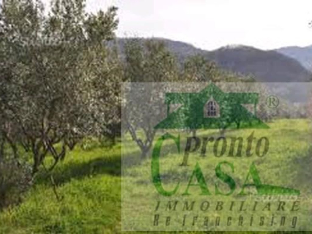 Terreno Agricolo in vendita a Chiaramonte Gulfi contrada cifali