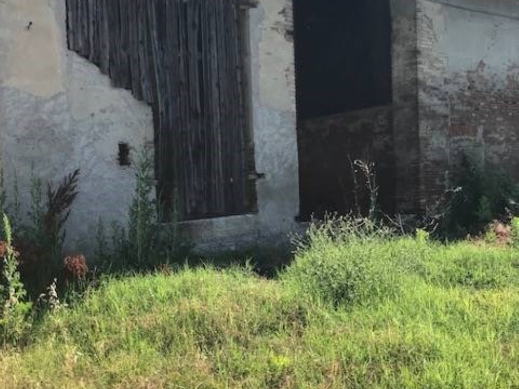 Azienda Agricola in vendita a Motteggiana
