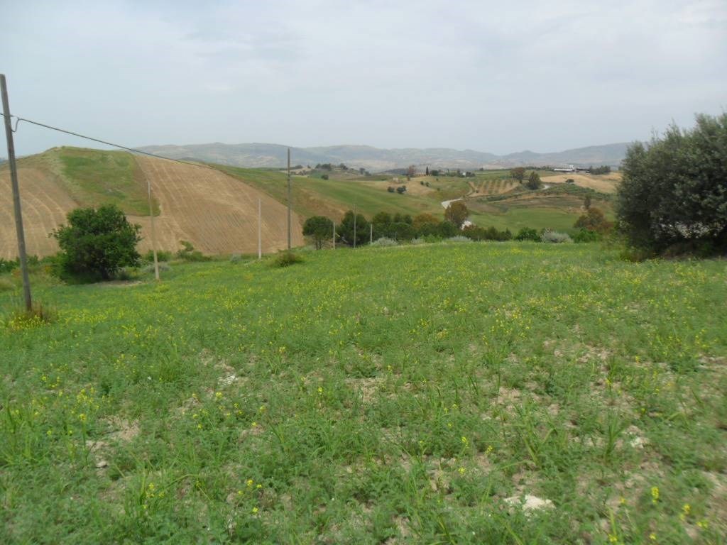 Terreno Agricolo in vendita a San Cataldo sp42