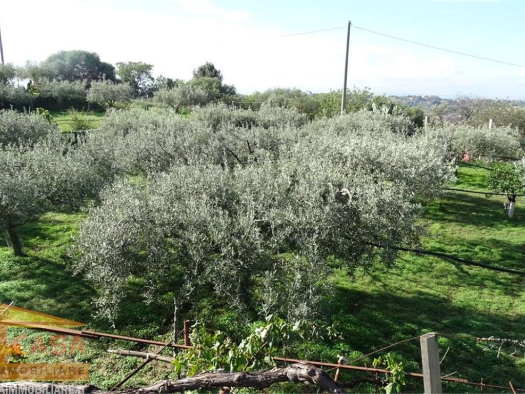 Terreno Agricolo in vendita a Camporotondo Etneo via san domenico