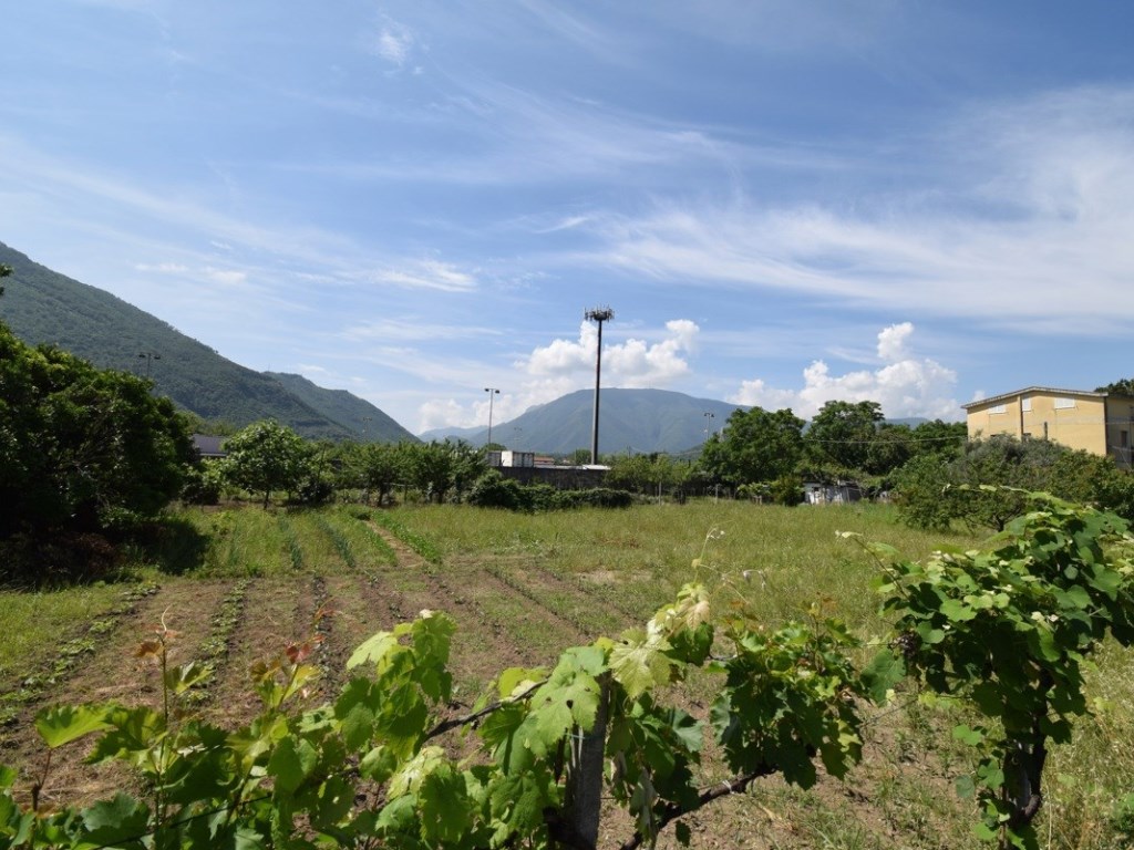 Terreno Agricolo in vendita a Castel San Giorgio castel San Giorgio Riccardo Ciancio,1