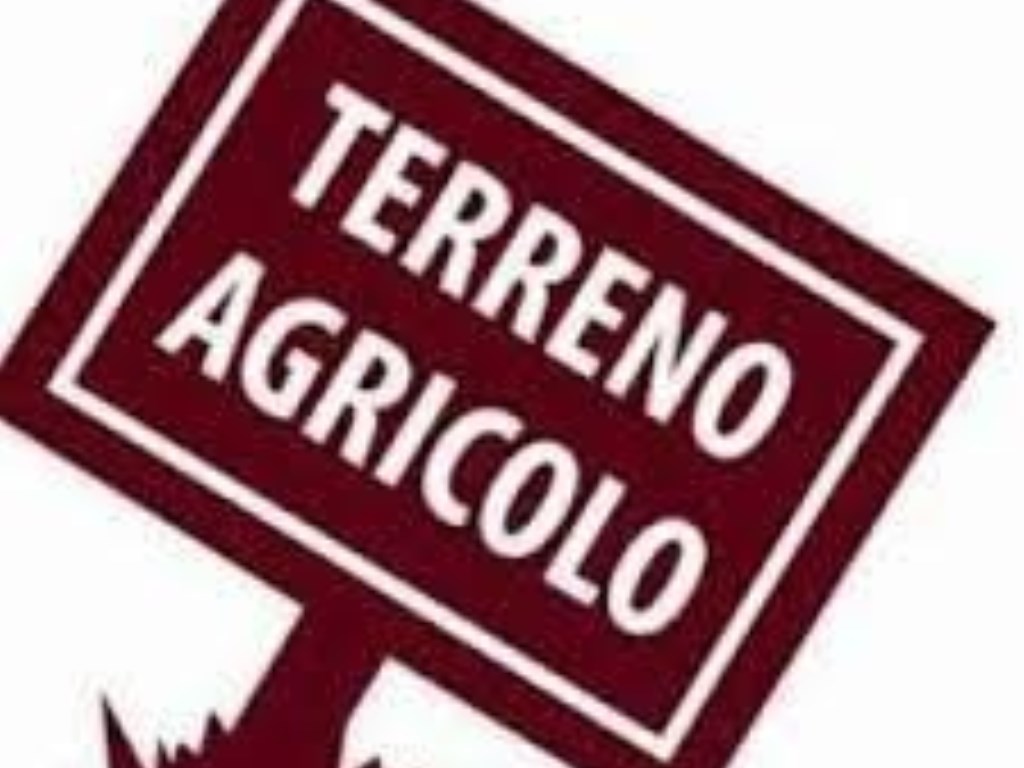 Terreno Agricolo in vendita a Correzzola via roma