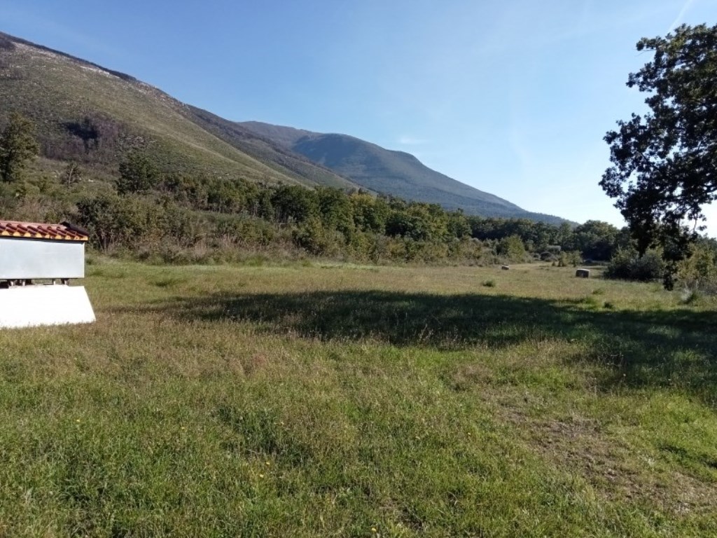 Terreno Agricolo in vendita a Mignano Monte Lungo