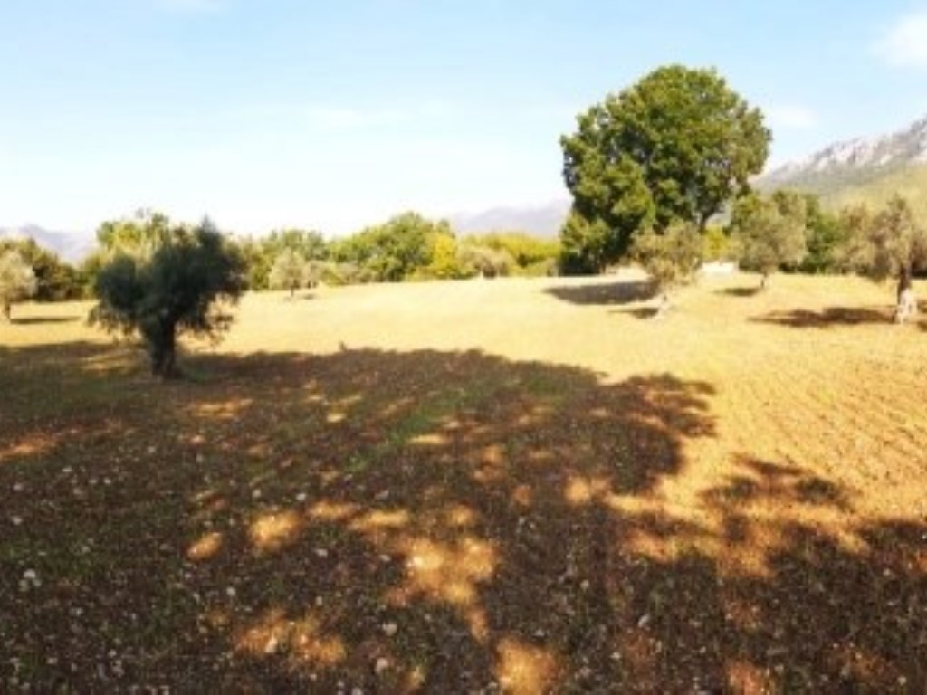 Terreno Agricolo in vendita a Prata Sannita