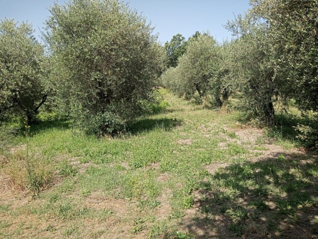 Terreno Industriale in vendita a Marzano Appio