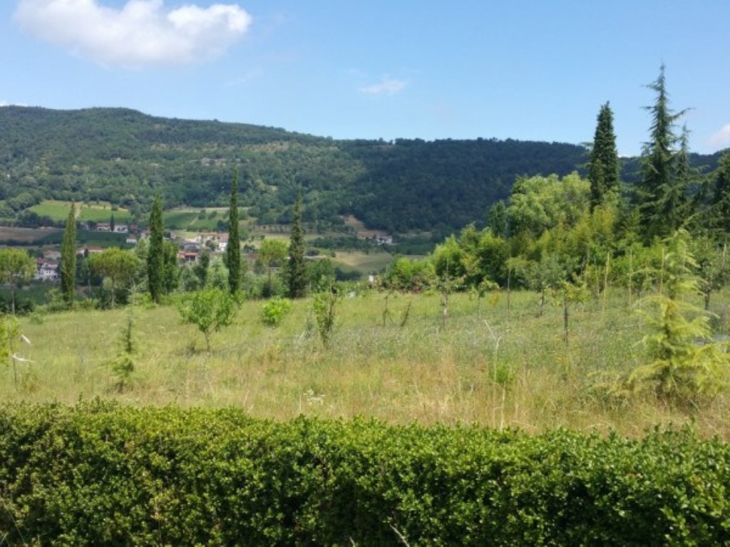 Terreno Residenziale in vendita a Brendola via Isonzo