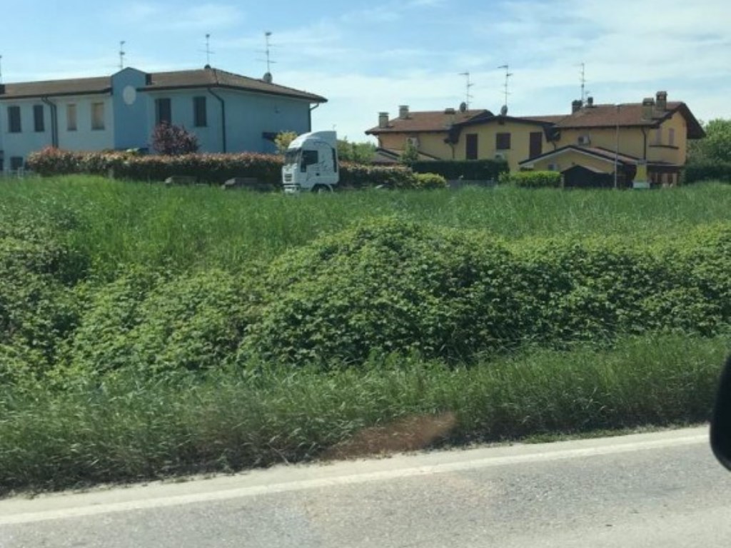 Terreno Residenziale in vendita a Pegognaga