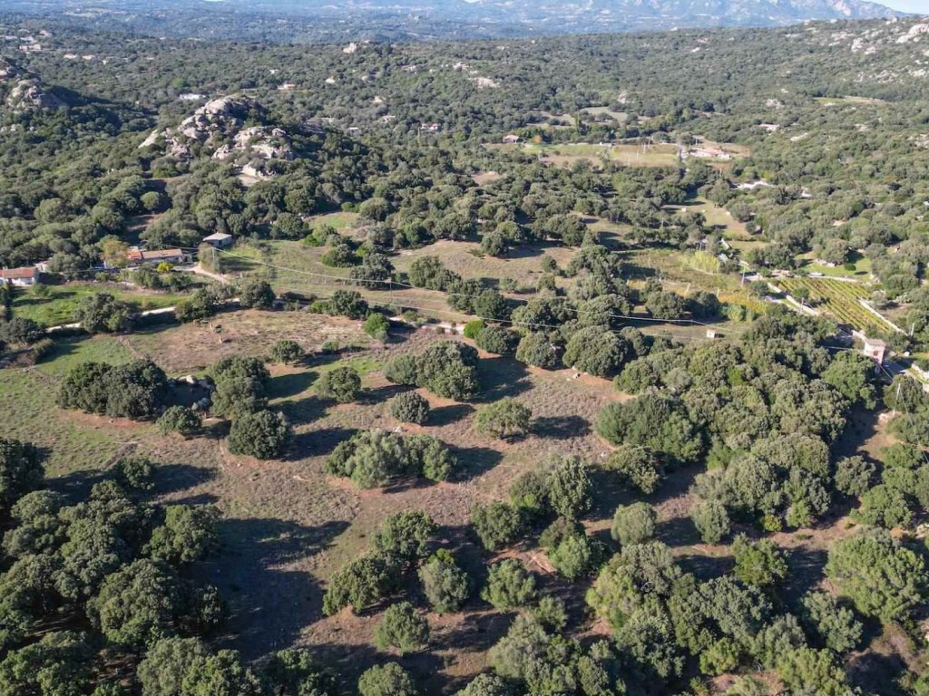 Terreno Agricolo in vendita a Telti via Manzoni