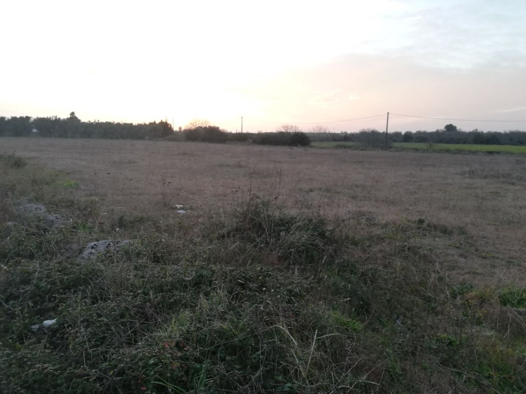 Terreno Agricolo in vendita a Sanarica sp63 Via Botrugno