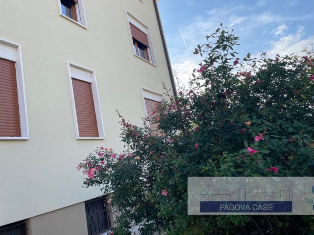 Appartamento in vendita a Padova via newton