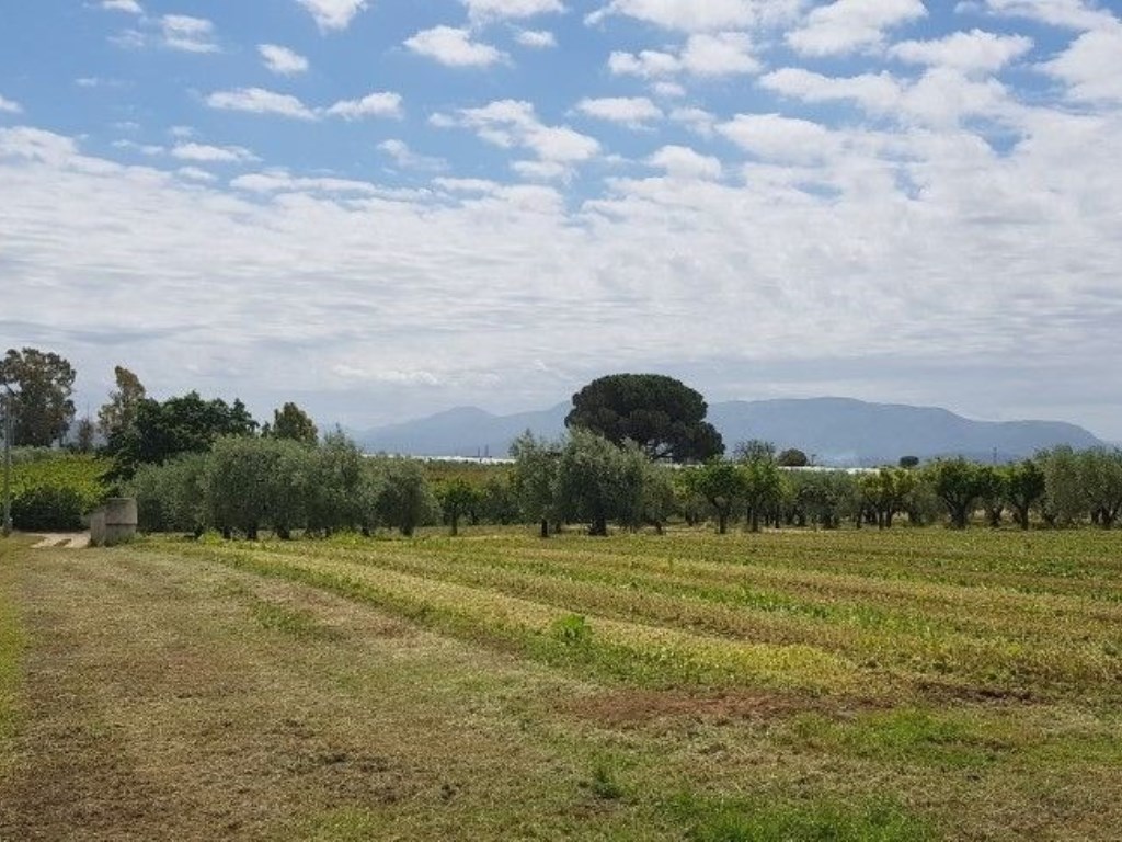 Terreno Agricolo in vendita a Eboli via Serracapilli