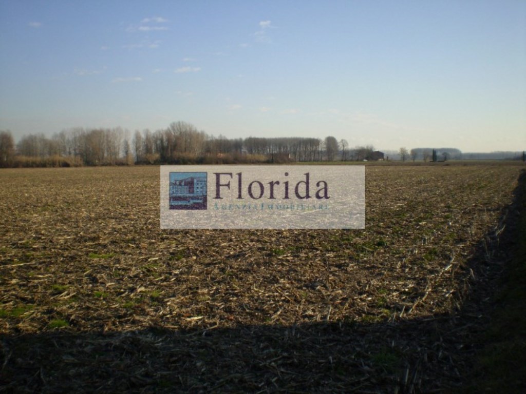 Terreno Agricolo in vendita ad Agna via Carrare
