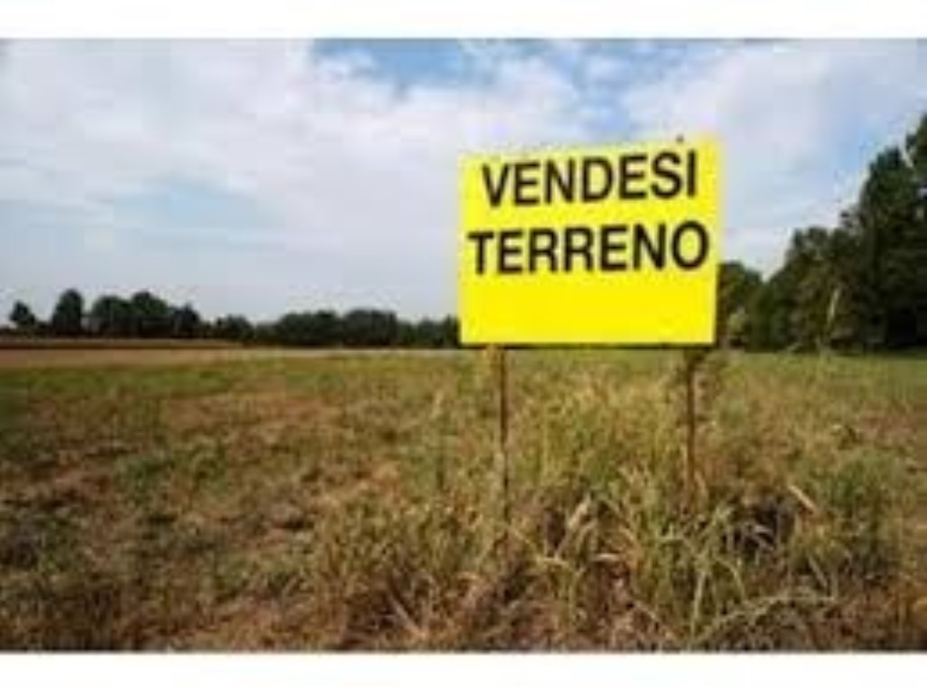 Terreno Agricolo in vendita a Montignoso
