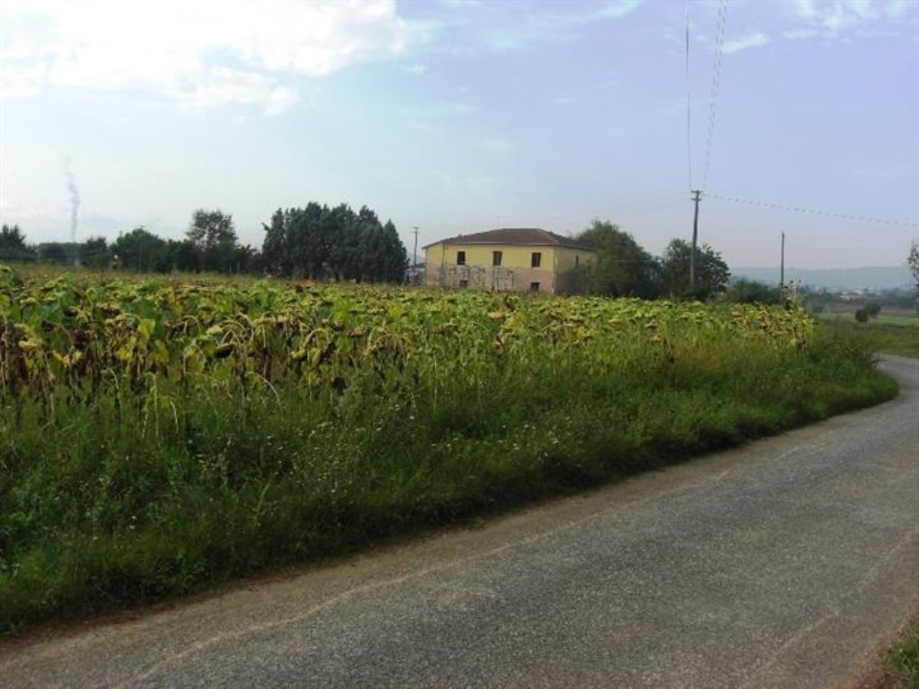 Terreno Agricolo in vendita a Torrita di Siena