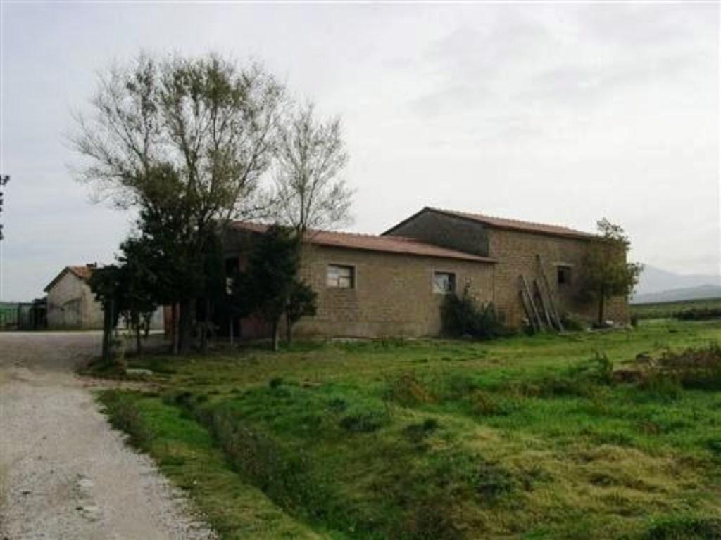 Azienda Agricola in vendita a Cinigiano