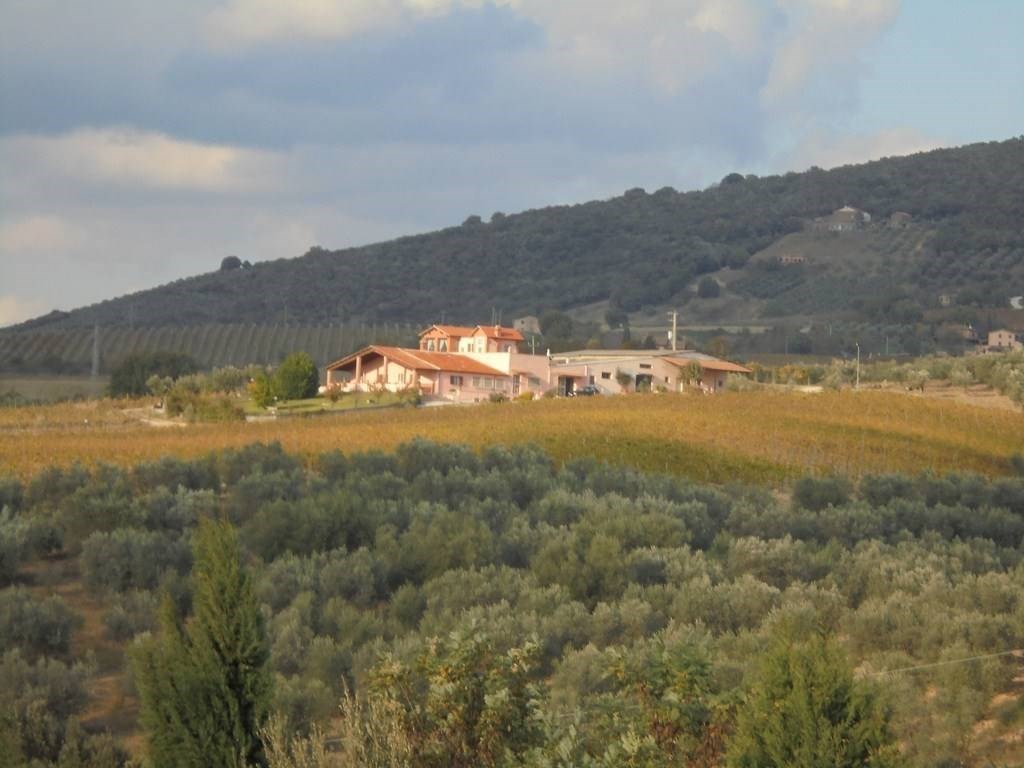 Azienda Agricola in vendita a Montecchio