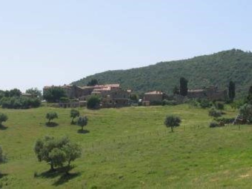 Azienda Agricola in vendita a Castelnuovo di Val di Cecina