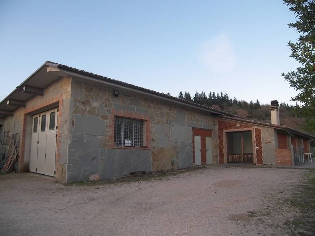 Azienda Agricola in vendita a Tuoro sul Trasimeno
