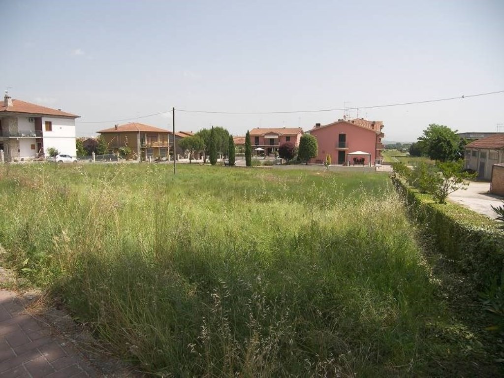 Terreno Edificabile in vendita a Torrita di Siena