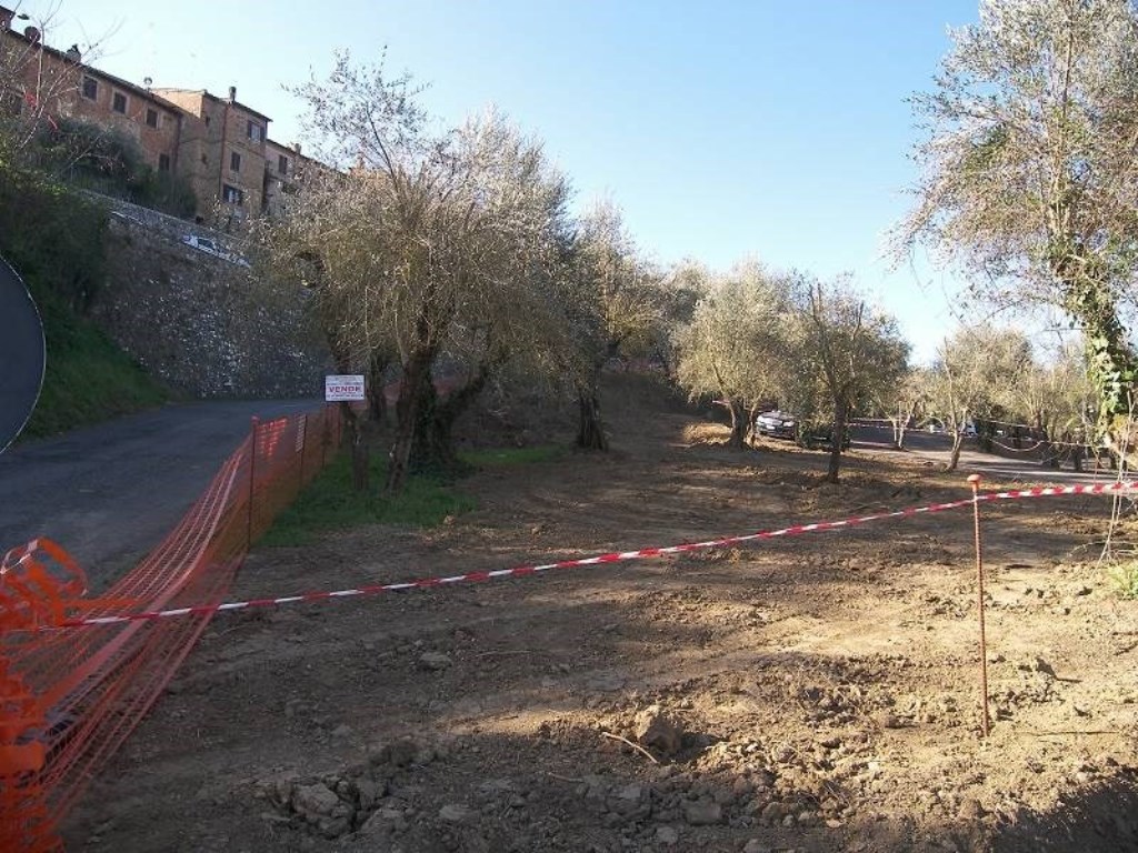 Terreno Edificabile in vendita a Torrita di Siena