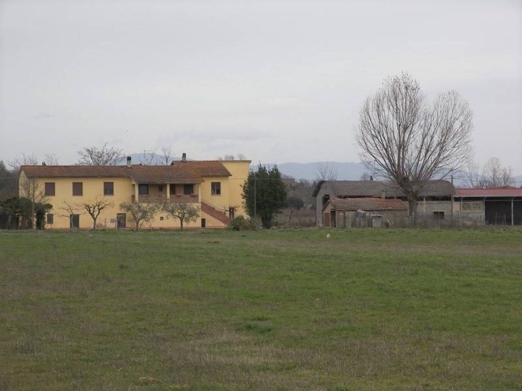 Azienda Agricola in vendita a Torrita di Siena