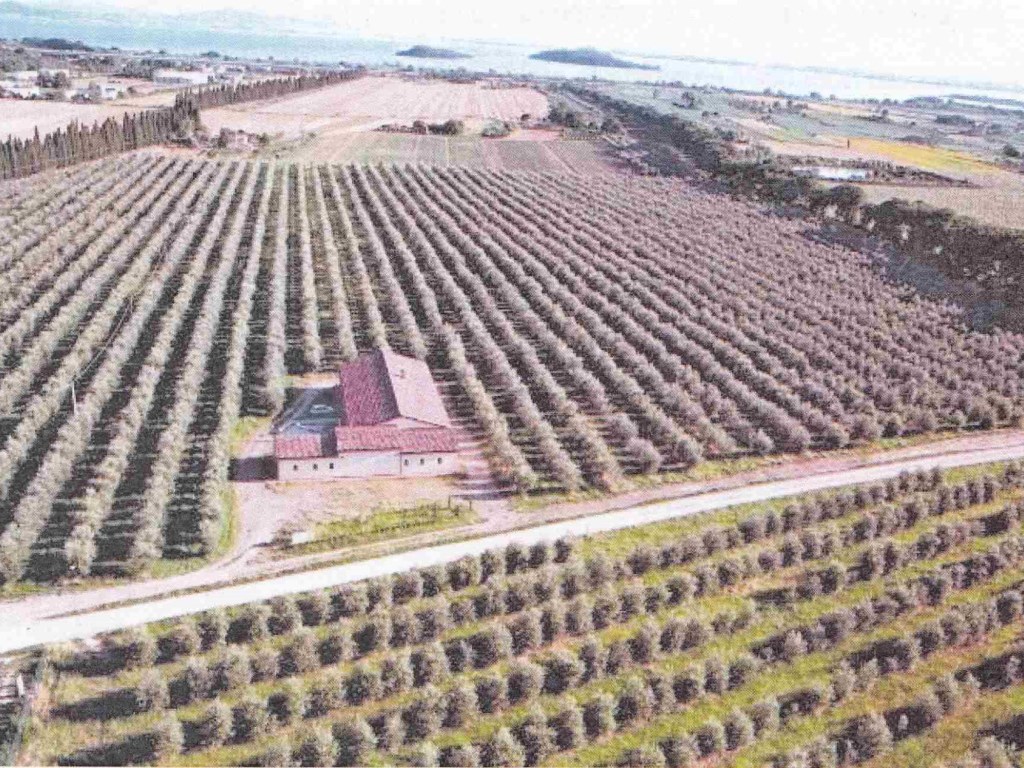 Azienda Agricola in vendita a Passignano sul Trasimeno