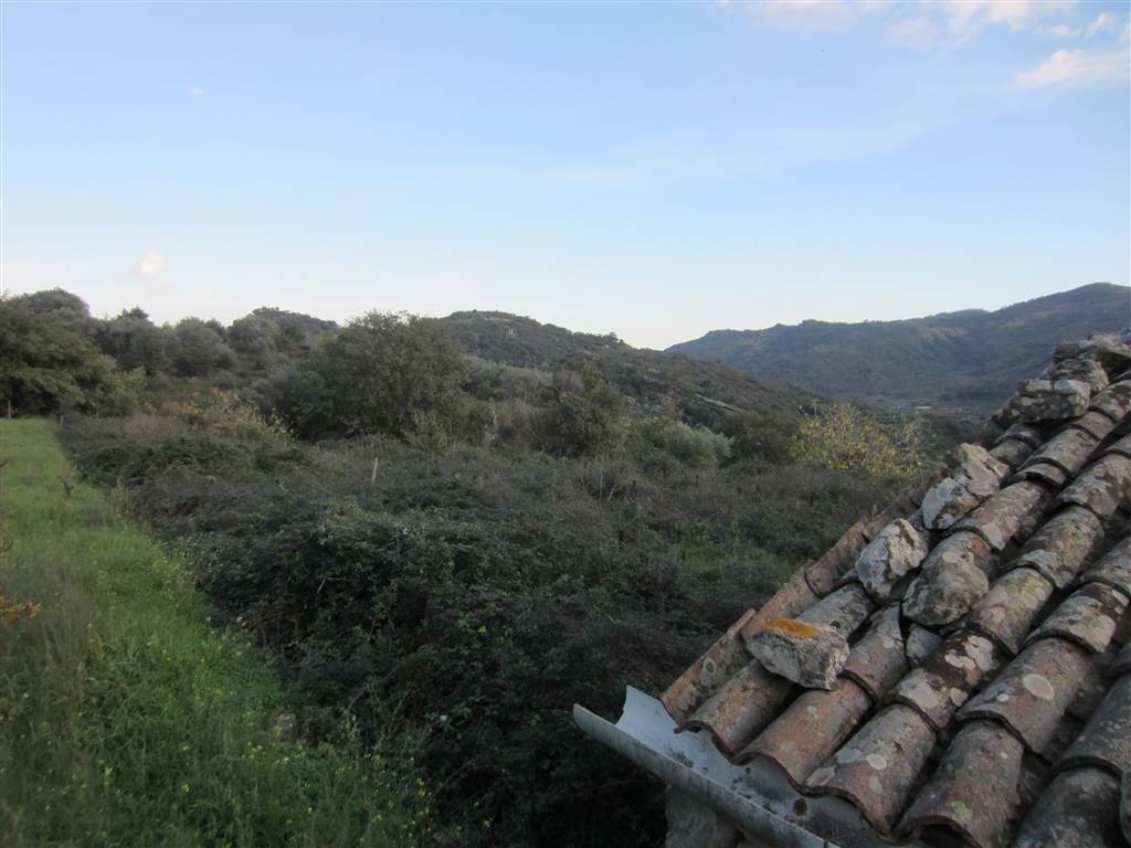 Terreno Agricolo in vendita a Castiglione di Sicilia contrada orgale