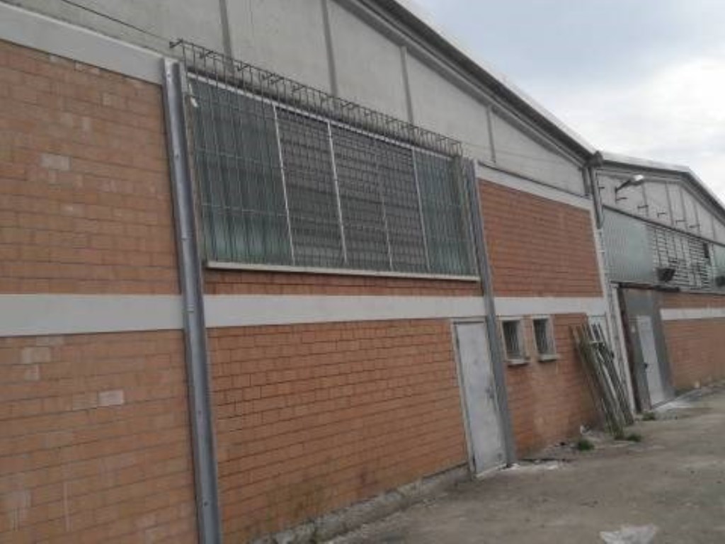 Capannone Industriale in affitto a Fabbrico