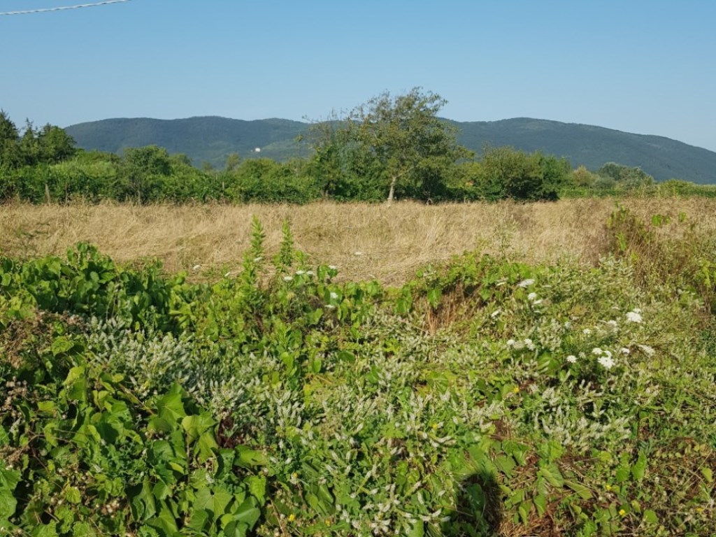 Terreno Edificabile in vendita a Sarzana