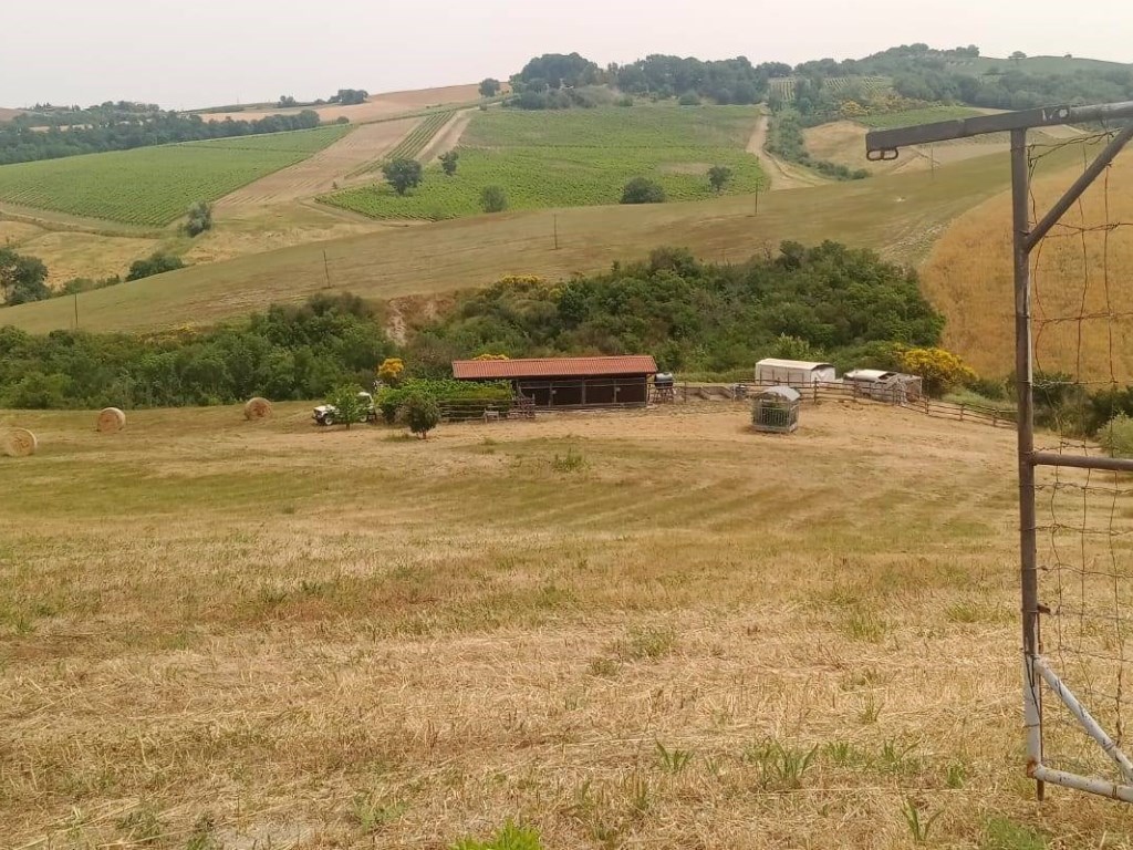 Terreno Agricolo in vendita a Cinigiano