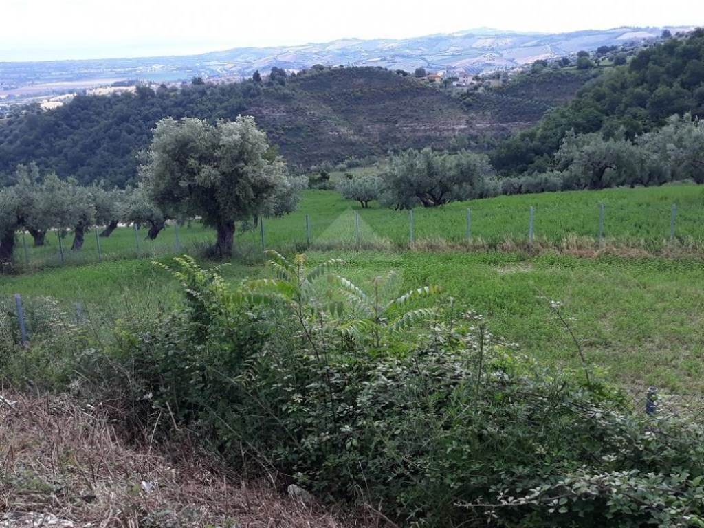 Terreno Agricolo in vendita a Teramo via umbria,