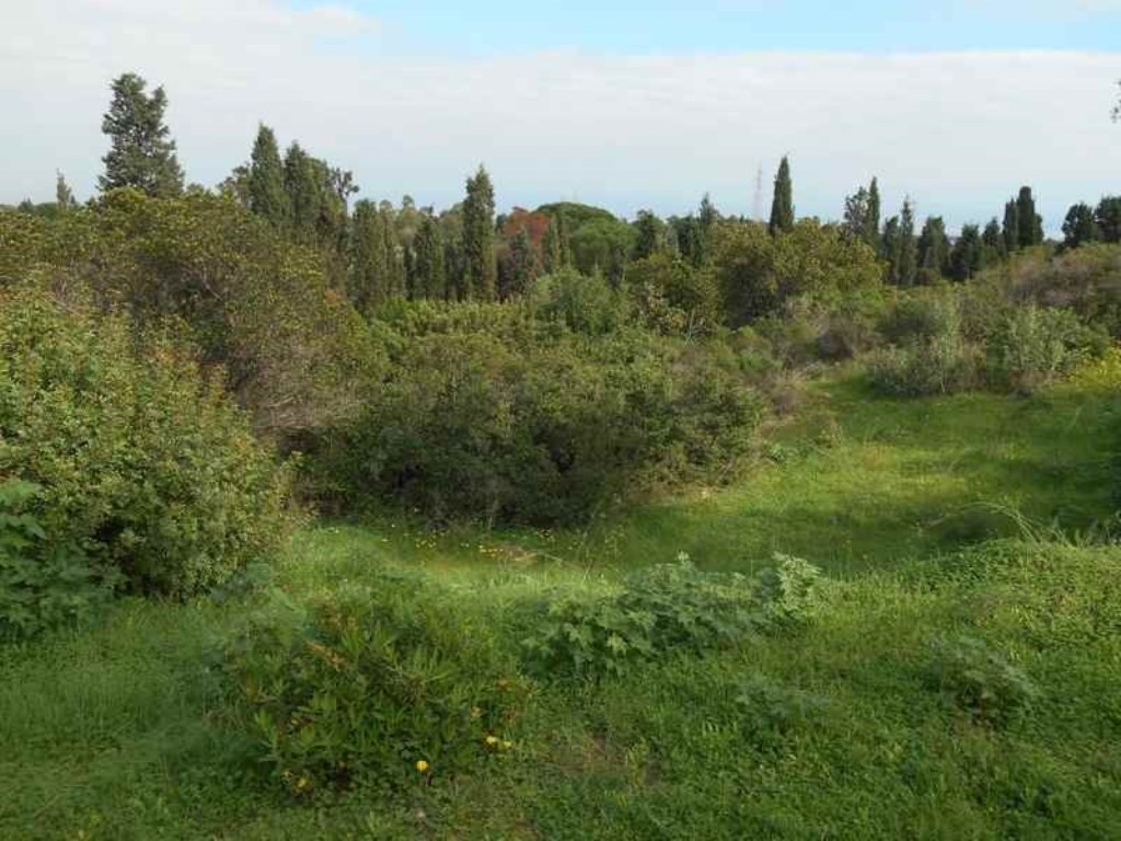 Terreno Edificabile in vendita a Capoterra poggio dei pini - pauliara