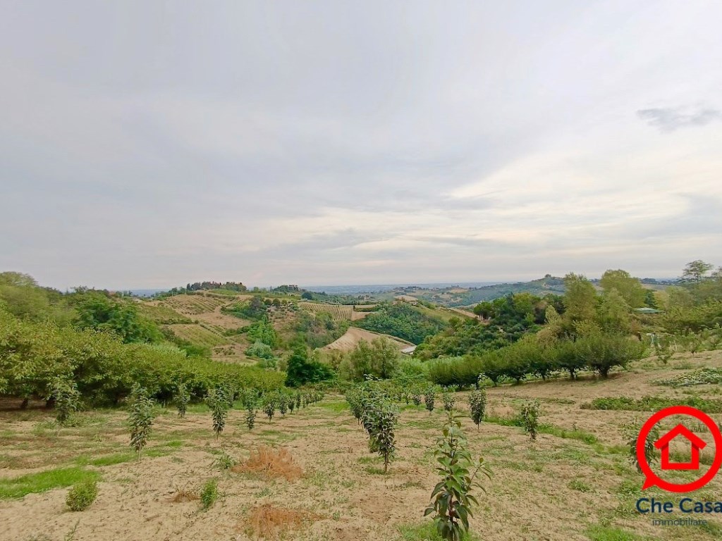 Terreno Agricolo in vendita a Cesena via San Tomaso,
