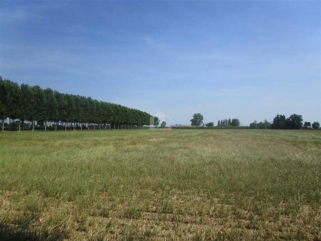 Terreno Agricolo in vendita a Luzzara