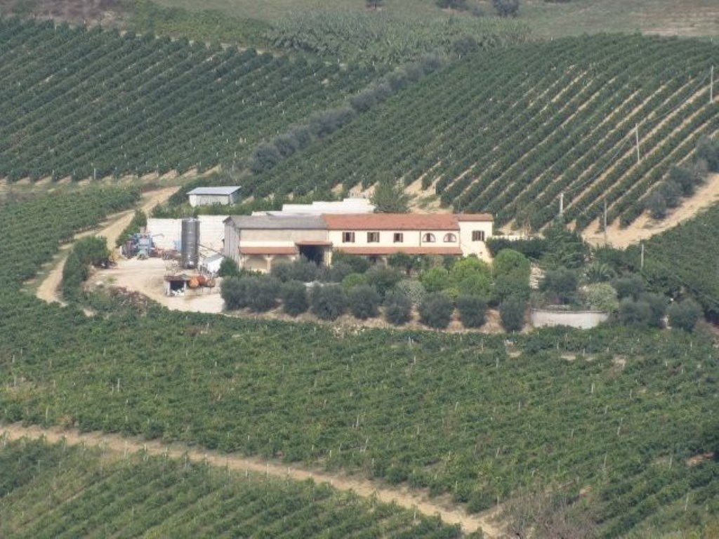 Azienda Agricola in vendita a Ripatransone