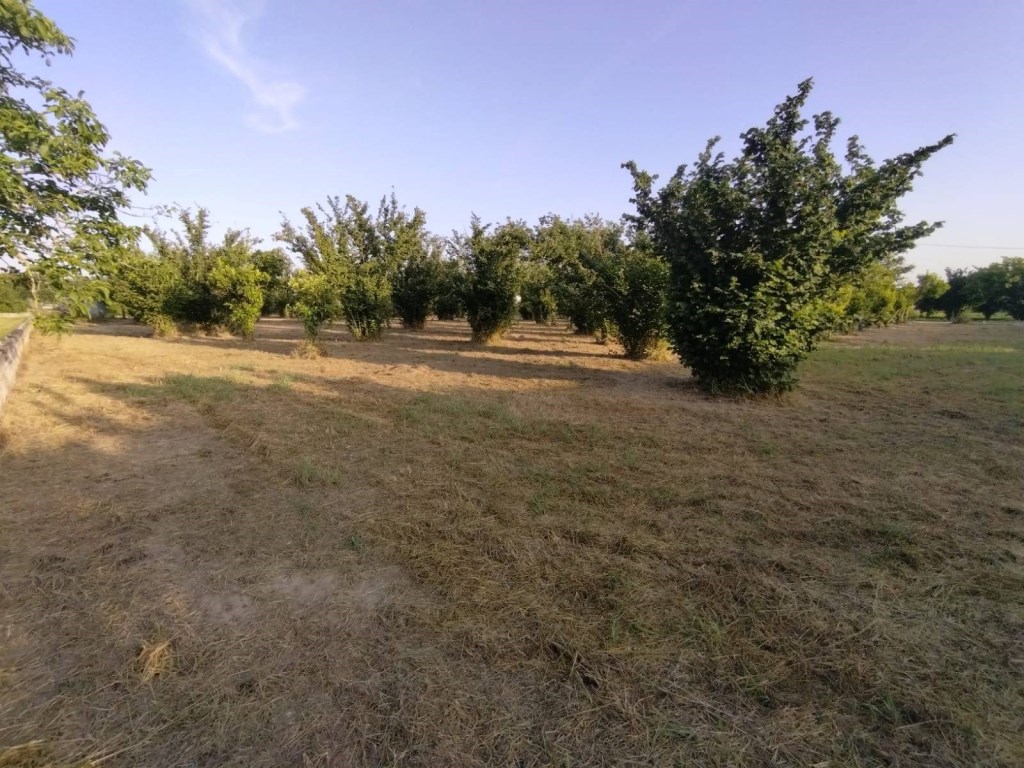 Terreno Agricolo in vendita a Pontecagnano Faiano