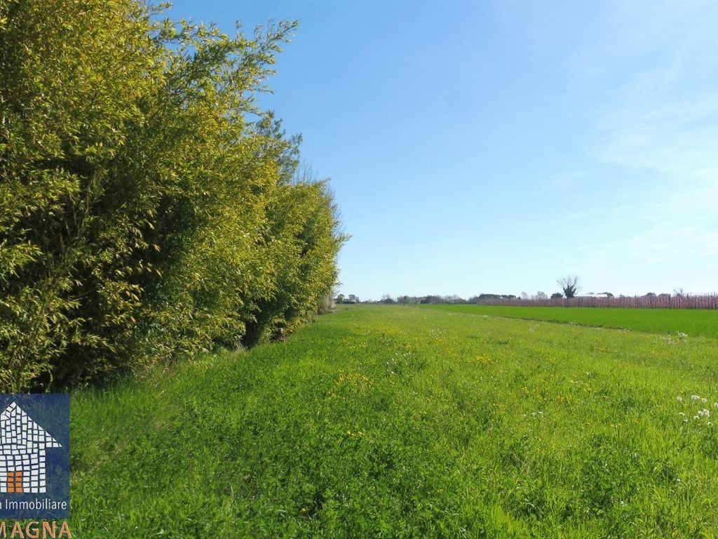Terreno Agricolo in vendita a Ravenna