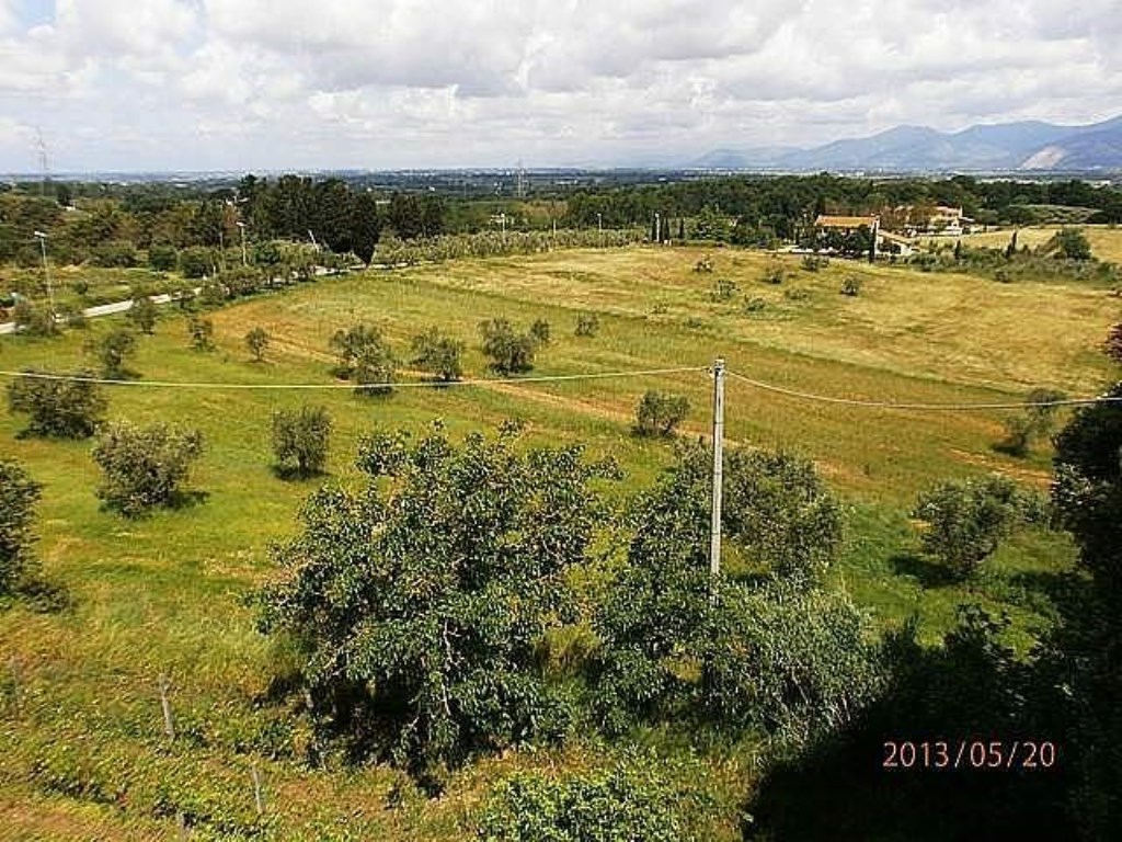 Terreno Edificabile in vendita a Fauglia corso Repubblica,