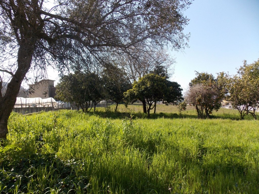 Terreno Agricolo in vendita a Bacoli via cuma