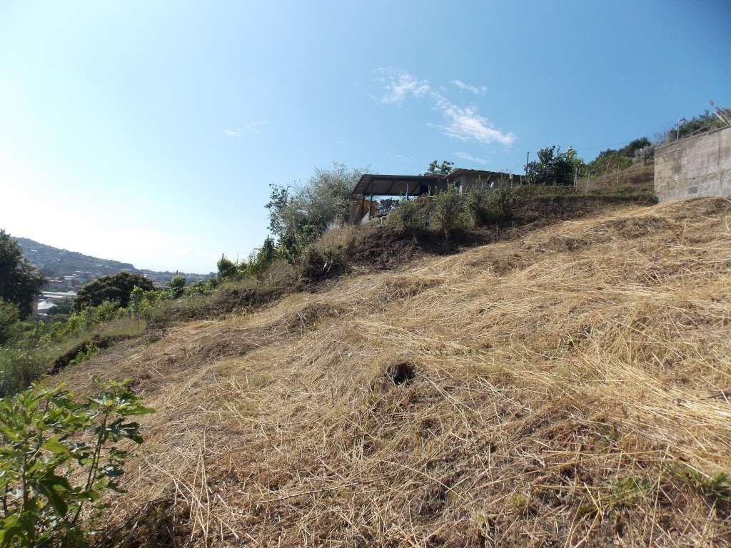 Terreno Agricolo in vendita a Monte di Procida via salita torregaveta