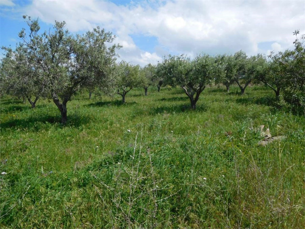 Terreno Agricolo in vendita a Favara via