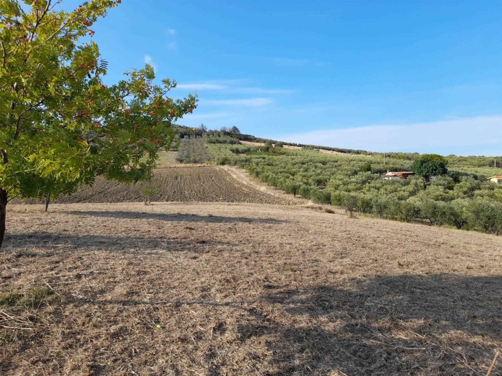 Terreno Agricolo in vendita a Vasto via Pezzo del Marchese