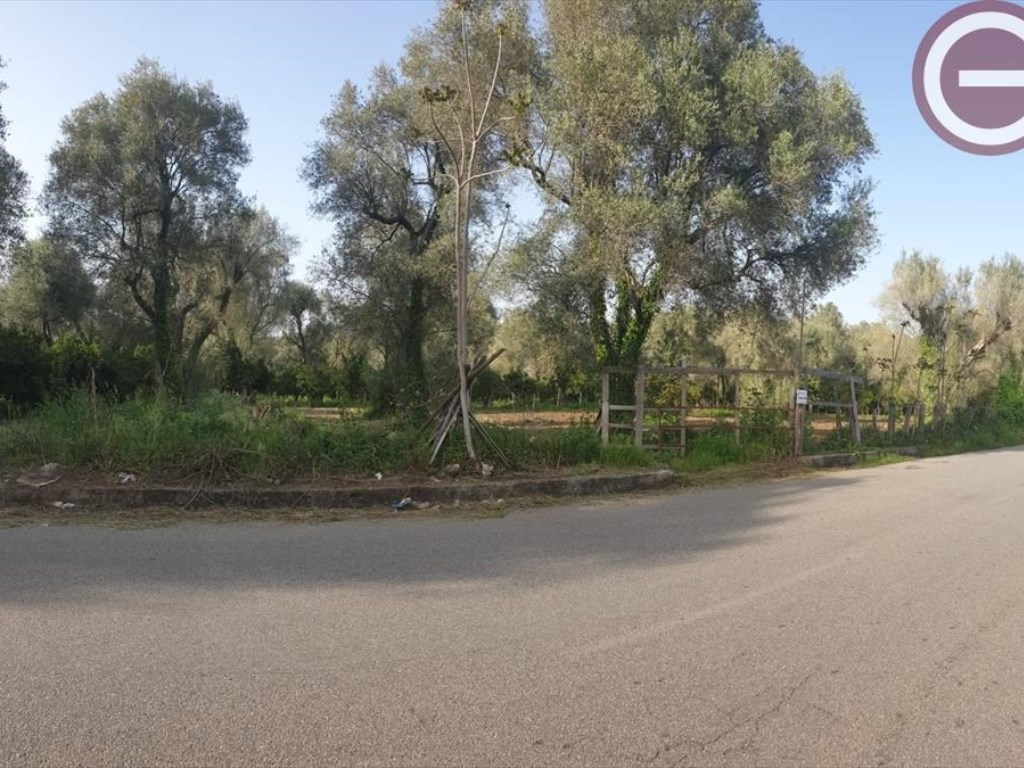 Terreno Agricolo in vendita a Taurianova via II circonvallazione
