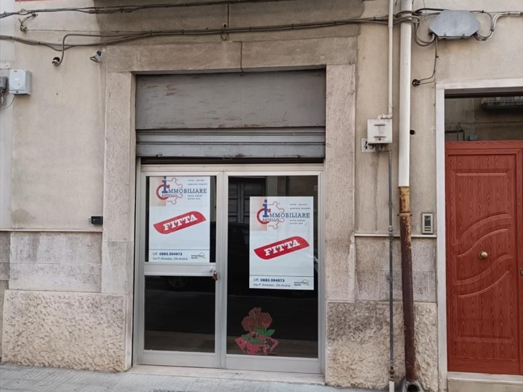 Locale Commerciale in affitto ad Andria via lorenzo bonomo, 45