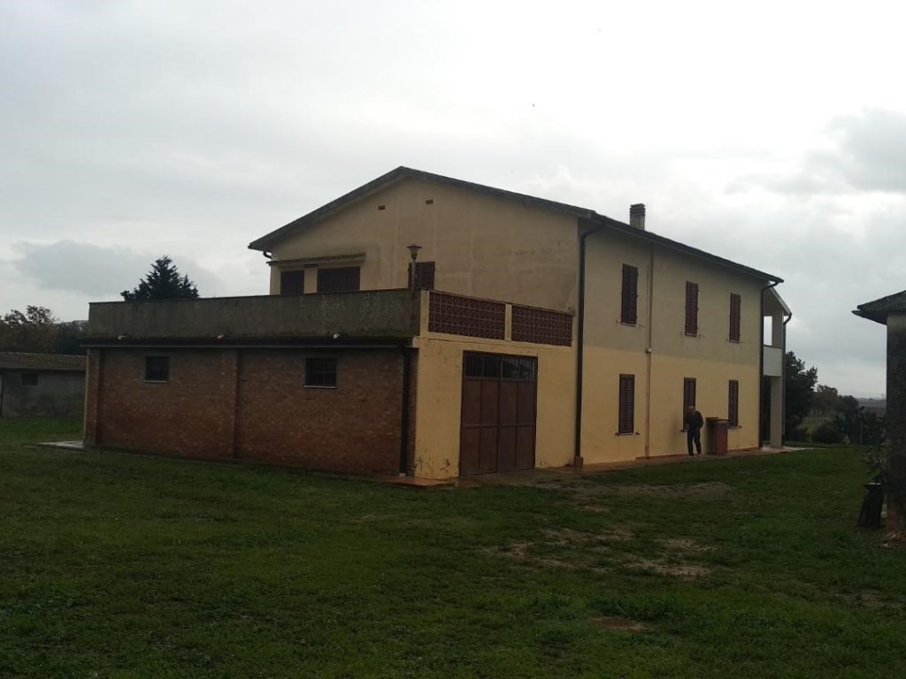Azienda Agricola in vendita a Grosseto r